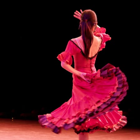 flamenko-danscisi